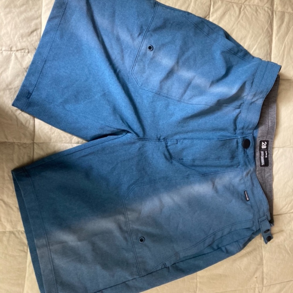 Hurley Amphibians